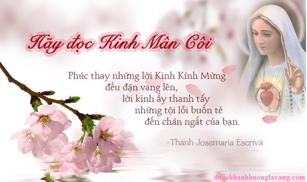 CÁC BÀI SUY NIỆM LỜI CHÚA  LỄ ĐỨC MẸ MÂN CÔI