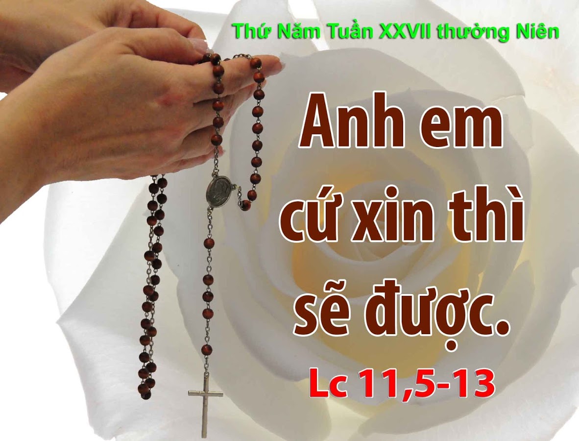 12.10.2017 – Thứ Năm Tuần 27 Thường Niên A