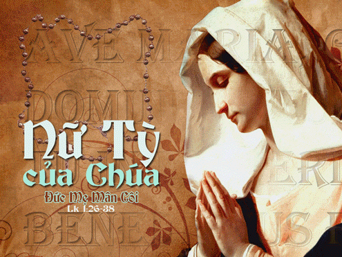 7.10.2017 – Thứ Bảy tuần 26 Thường Niên A- Lễ Ðức Mẹ Mân Côi