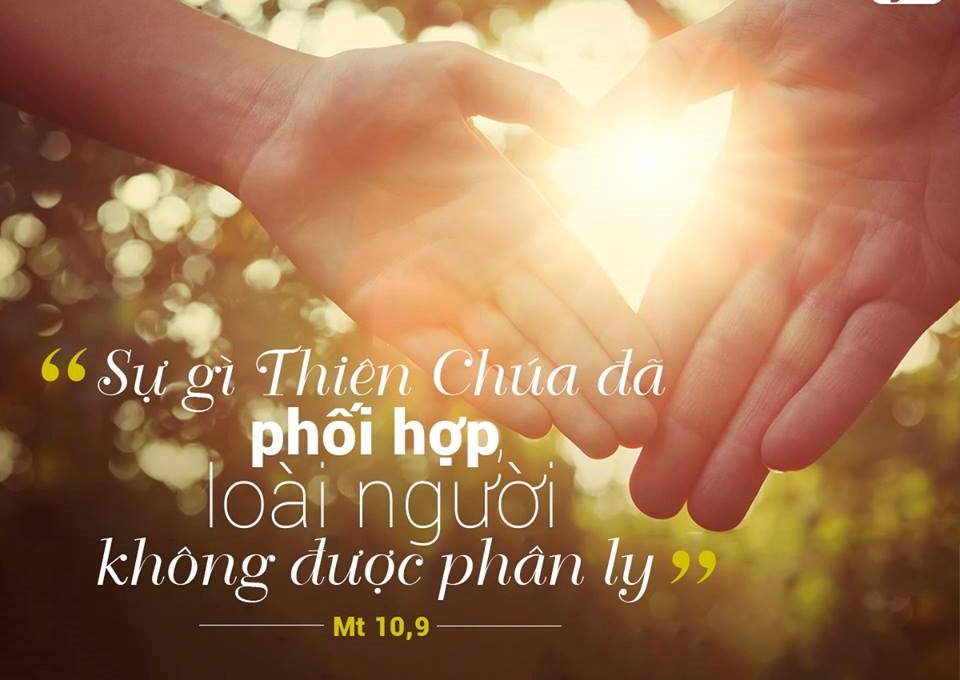 Ý nghĩa và ơn gọi của hôn nhân Công giáo