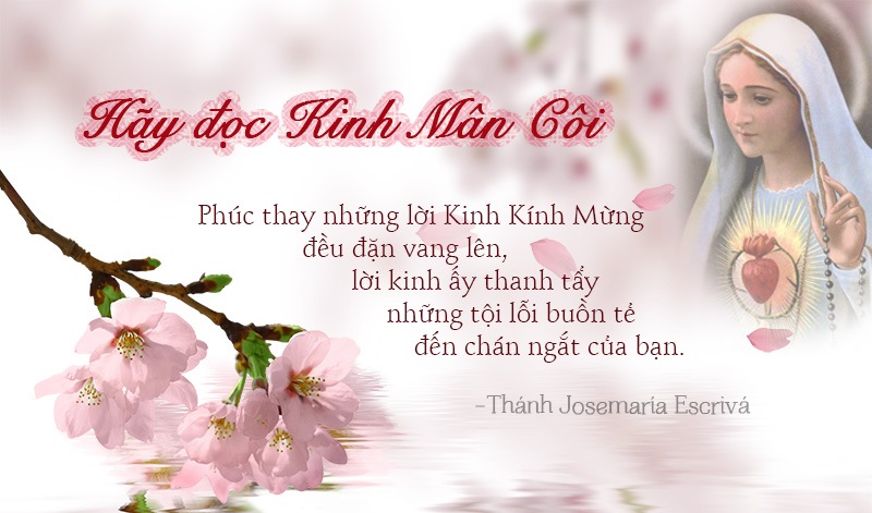 Tháng Mân Côi, suy niệm về Mẹ