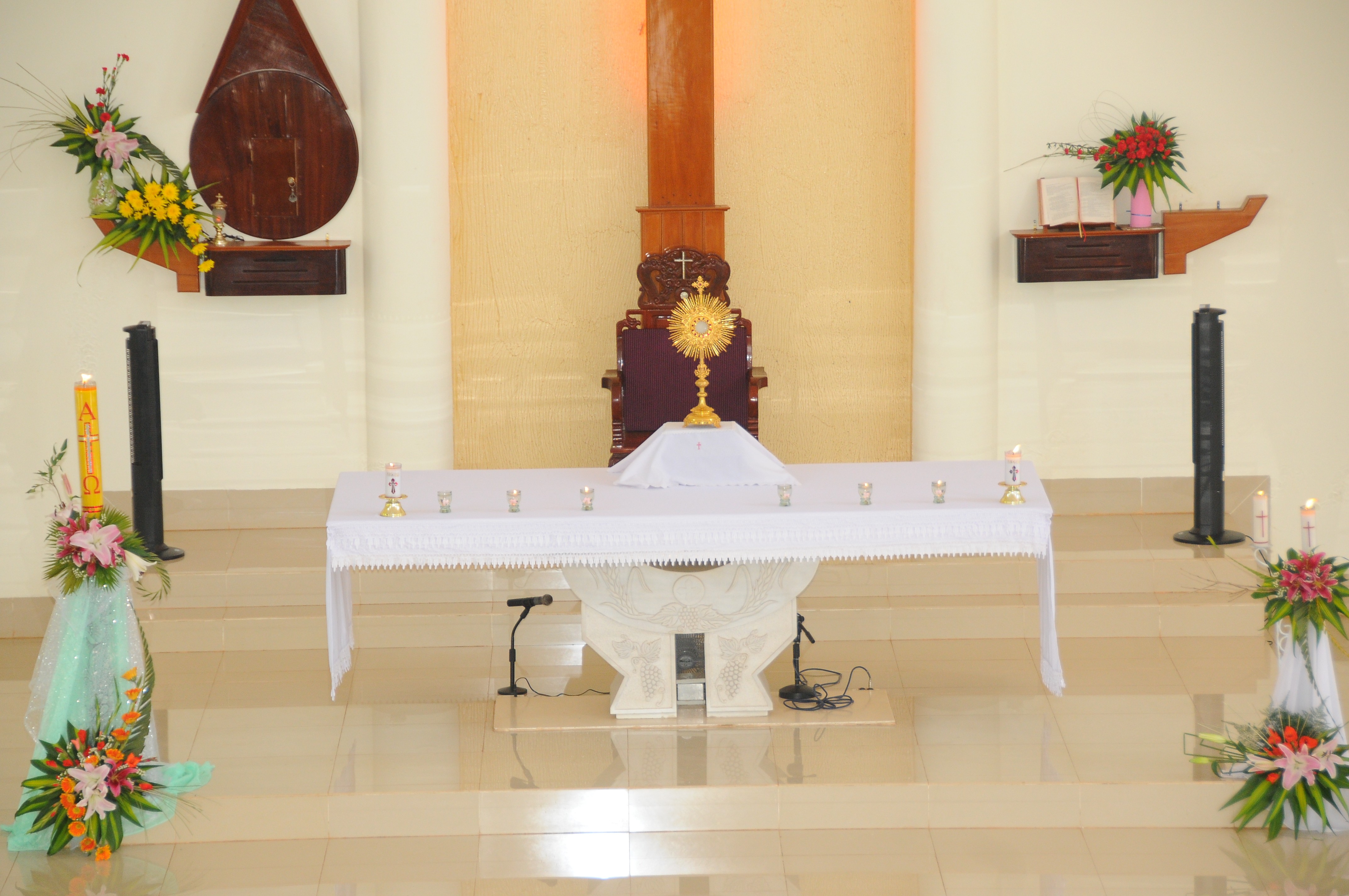 Giáo xứ Hòa Lâm: Thánh lễ khai mạc ngày Chầu Thánh Thể thay Giáo phận- Ngày 18.03.2018