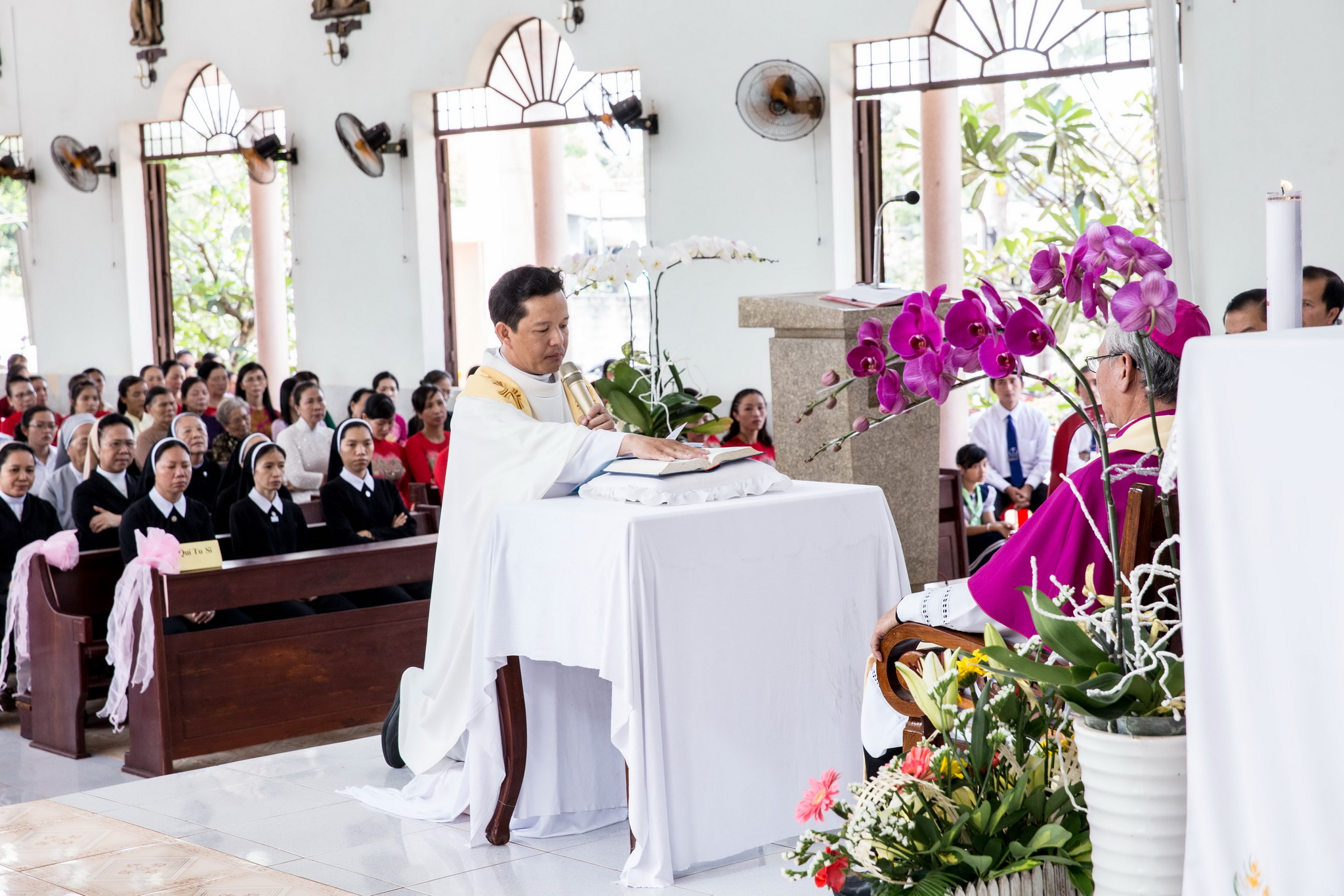 Giáo xứ Đức Hiệp: Đón Cha tân Chánh xứ Phêrô Nguyễn Phi Vũ