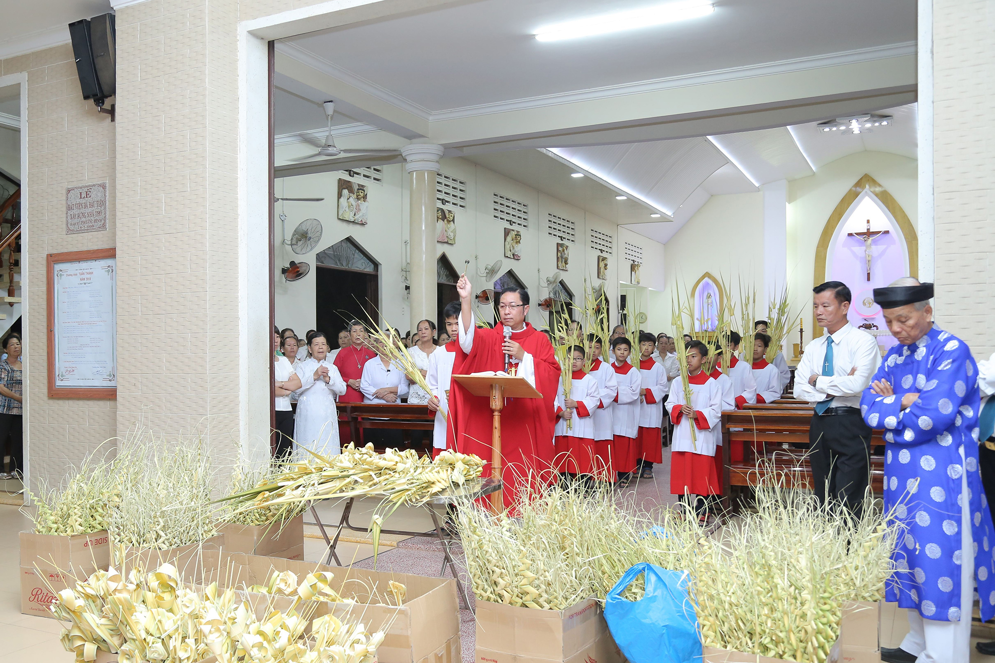 Giáo xứ Phước Bình: Cử hành Lễ Lá- Khai mạc Tuần Thánh 2018