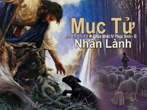 CÁC BÀI SUY NIỆM LỜI CHÚA  CHÚA NHẬT IV PHỤC SINH  – NĂM B