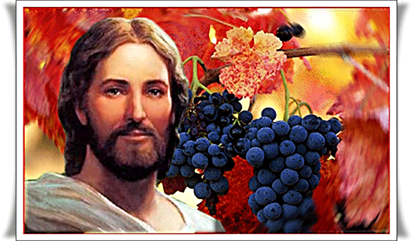 CÁC BÀI SUY NIỆM LỜI CHÚA  CHÚA NHẬT V PHỤC SINH  – NĂM B