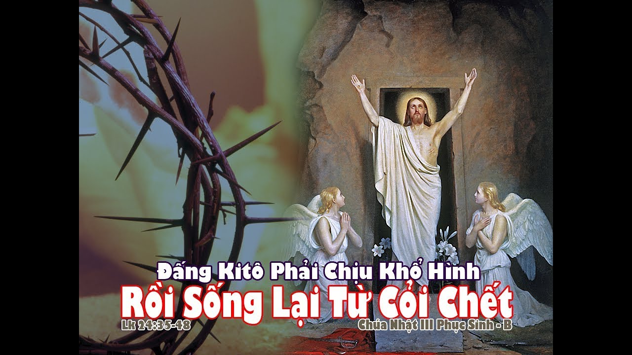 CÁC BÀI SUY NIỆM LỜI CHÚA  CHÚA NHẬT III PHỤC SINH  – NĂM B