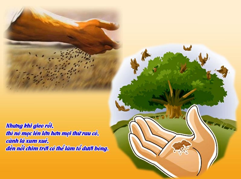 CÁC BÀI SUY NIỆM LỜI CHÚA  CHÚA NHẬT XI THƯỜNG NIÊN – NĂM B