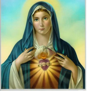 09.06.2018- Thứ Bảy tuần 9 Thường niên B- Lễ Trái tim vô nhiễm Đức Mẹ