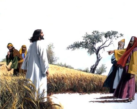 20.07.2018- Thứ Sáu tuần 15 Thường niên B