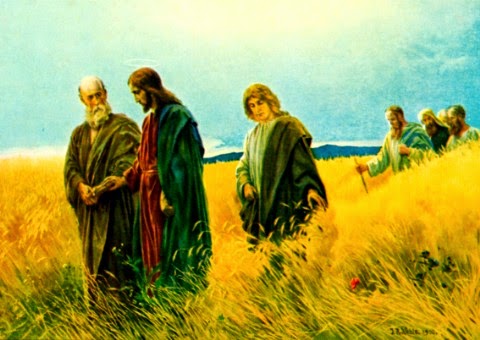 10.07.2018- Thứ Ba tuần 14 Thường niên B