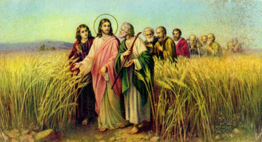 31. 07.2018- Thứ Ba tuần 17 Thường niên B