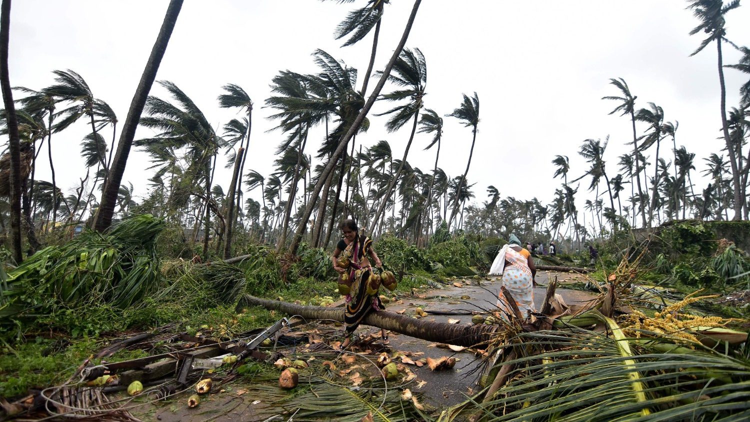 Sơ Daniela Kuzhiadyil, người mang Tin Mừng đến vùng ngoại biên