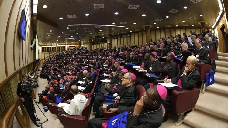 Sinh hoạt Thượng HĐGM thế giới về giới trẻ (4)