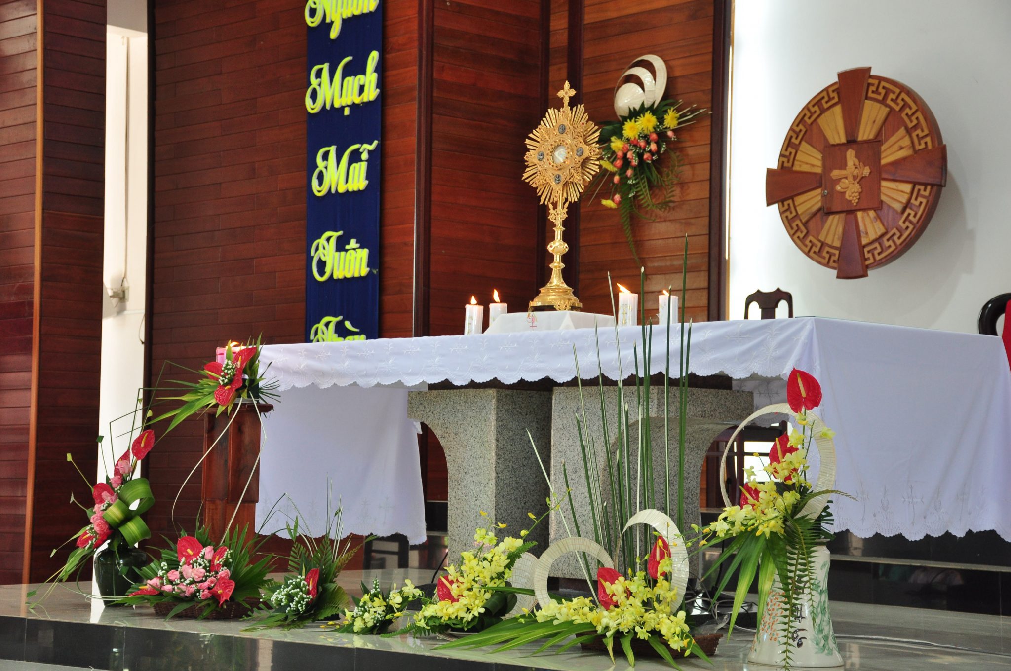 Gx. Hòa Hội – Chầu Thánh Thể thay giáo phận