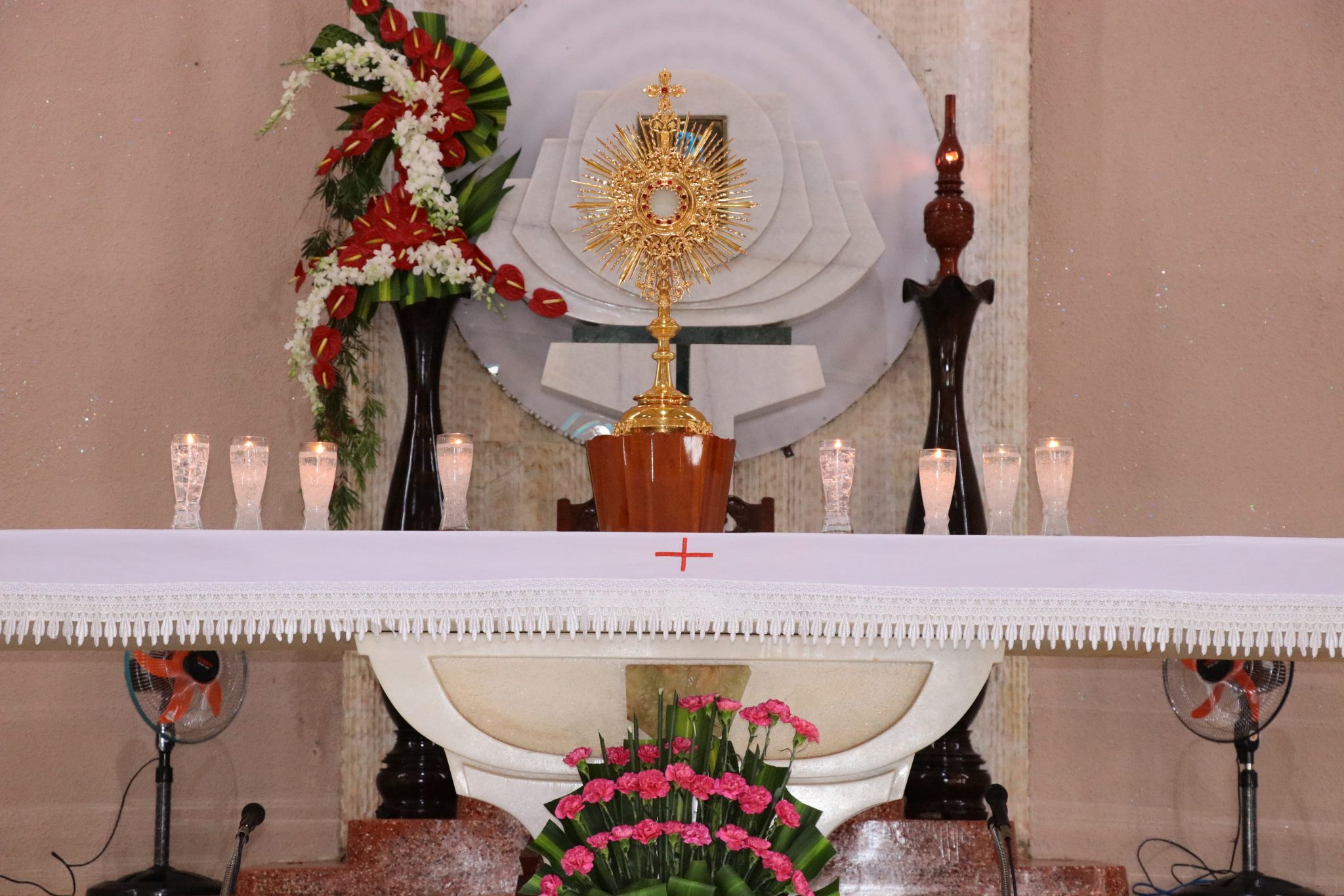 Giáo Xứ Hòa Thuận: Chầu Thánh Thể thay Giáo phận 2018