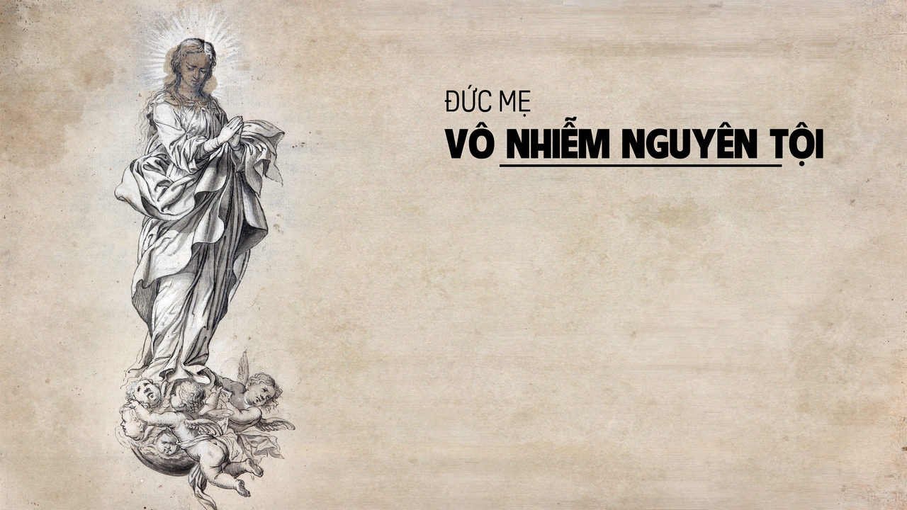 8.12.2018 - Thứ bảy - Đức Mẹ Vô nhiễm nguyên tội