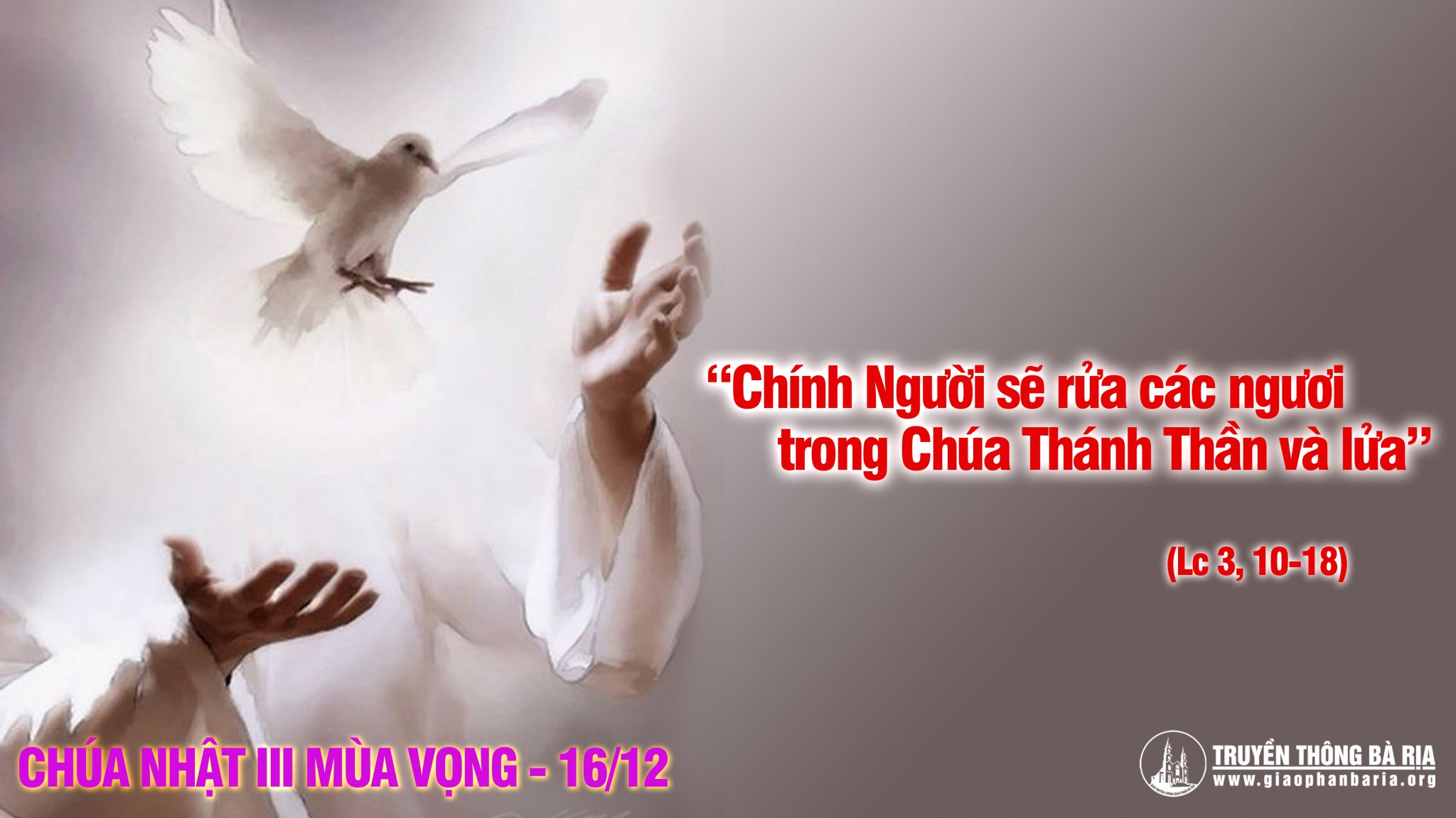 CÁC BÀI SUY NIỆM LỜI CHÚA  CHÚA NHẬT III MÙA VỌNG -C