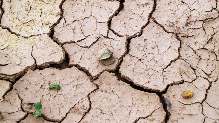 Họp Caritas quốc tế cho Sahen tại Senegal về khủng hoảng lương thực