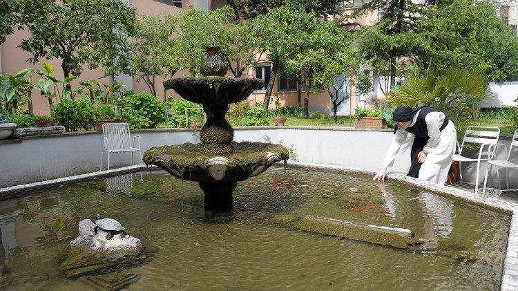 Đằng sau tấm lưới, nữ tính của tôi tạo nên sự sống