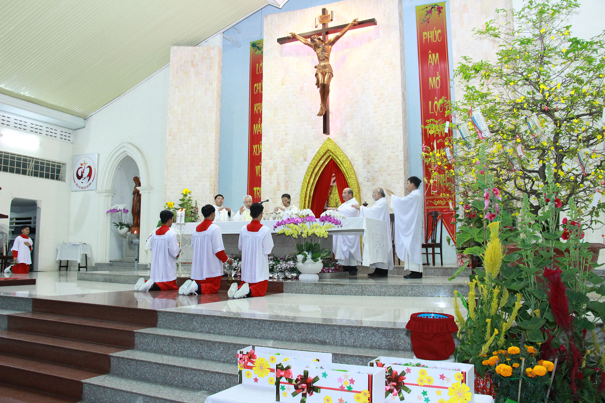 Tin Ảnh: Gx. Lam Sơn: Thánh lễ tân niên 2019