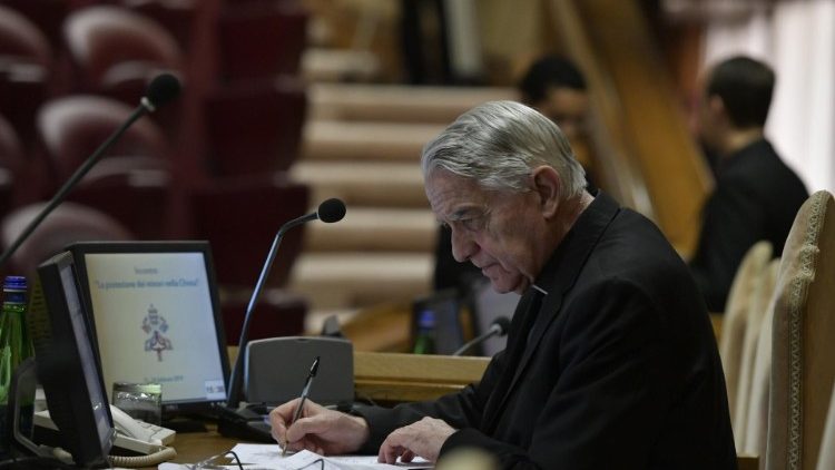 Đúc kết của cha Lombardi về cuộc gặp bảo vệ trẻ em trong GH