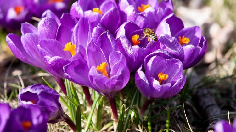 Chúc thư của người cha ung thư giai đoạn cuối viết cho con gái nhỏ