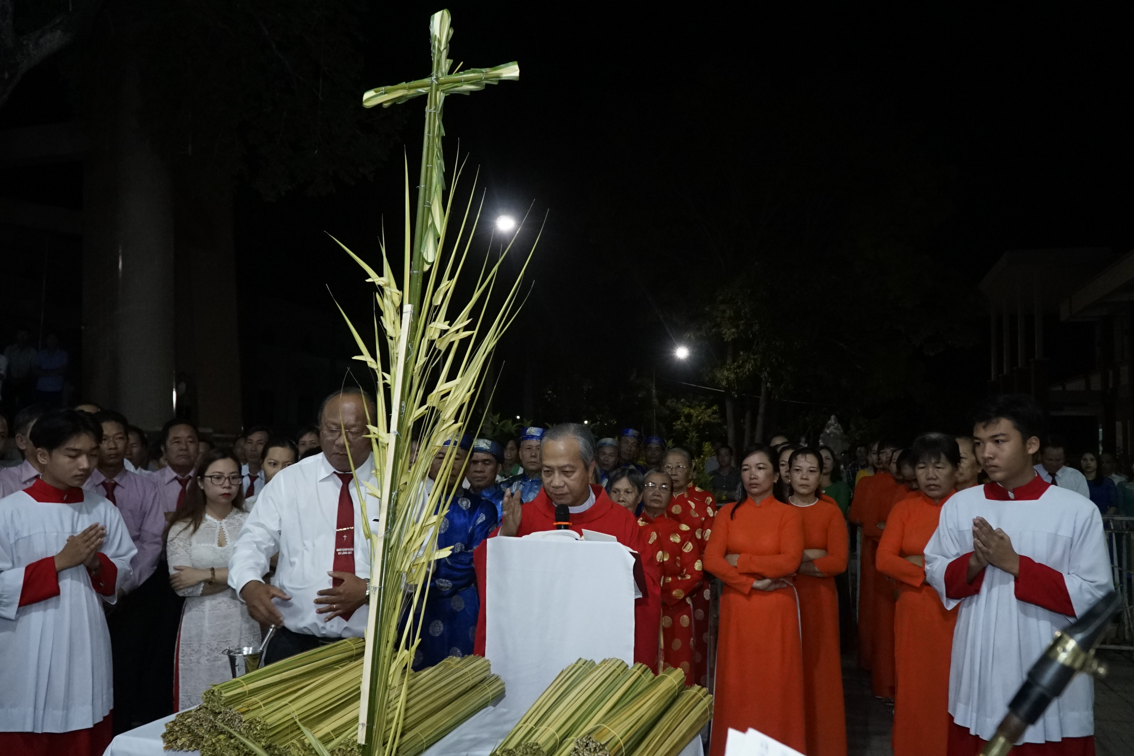 Tin Ảnh: Gx. Láng Cát cử hành Lễ Lá 2019