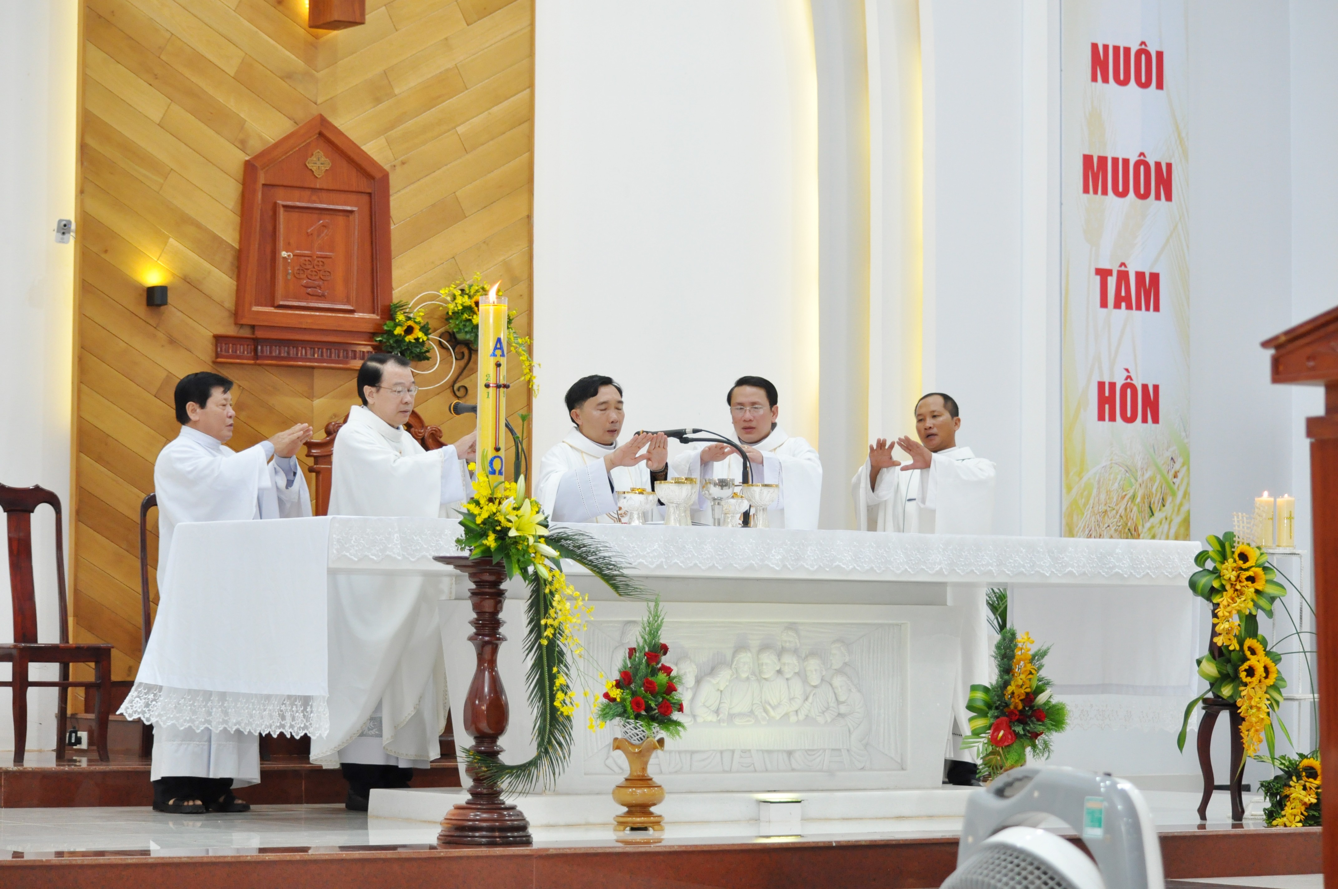 Gx. Hòa Sơn: Thánh lễ tạ ơn mừng 10 năm thánh chức linh mục
