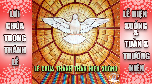 BẢN VĂN BÀI ĐỌC TRONG THÁNH LỄ LỄ HIỆN XUỐNG & TUẦN X THƯỜNG NIÊN – NĂM C