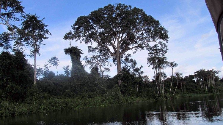 Giáo hội vùng Amazzonia âu lo cho số phận của người dân tại đây 