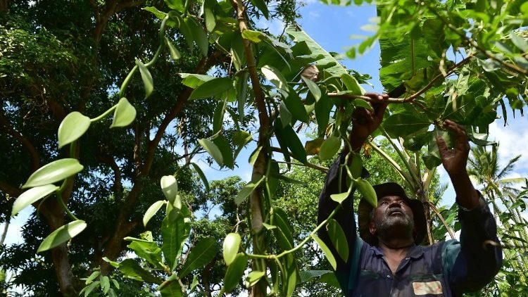 Giáo hội Công giáo Madagascar kêu gọi tín hữu tham gia cụ thể trong việc chuẩn bị chuyến tông du của ĐTC 
