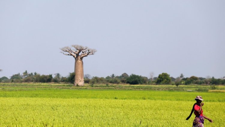 Đôi nét về Madagascar trước chuyến viếng thăm của ĐTC Phanxicô 