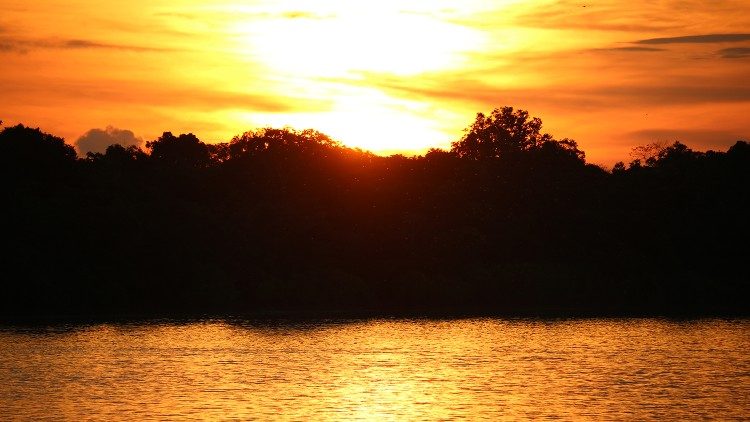 ĐTC mời gọi gia tăng cầu nguyện cho Thụ tạo 