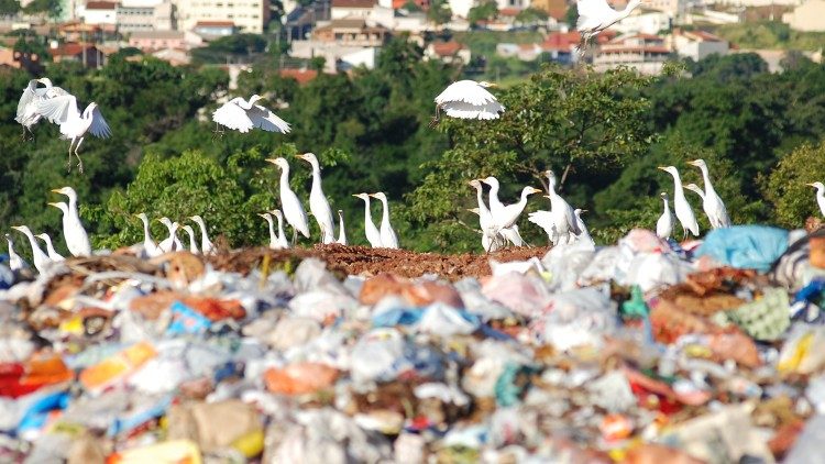 “Cây sự sống” của Vik Muniz 