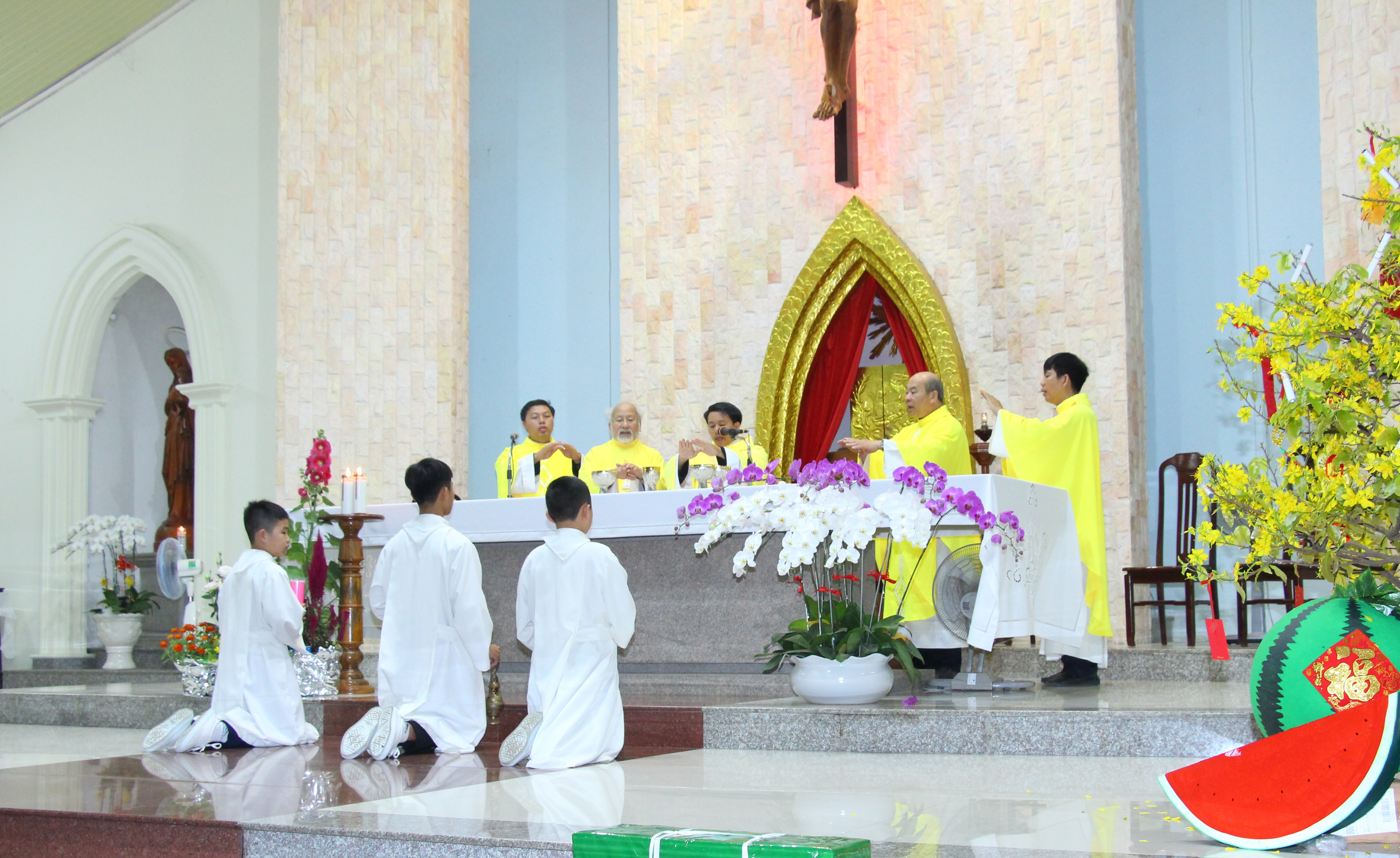 Tin Ảnh: Gx. Lam Sơn: Thánh lễ minh niên- Cầu bình an cho năm mới 2020