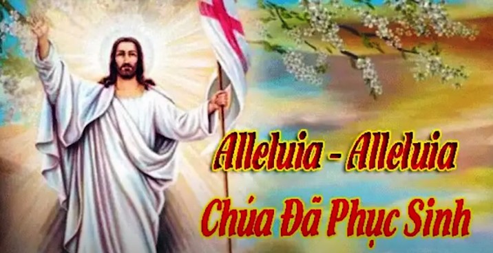 VIDEO: Suy niệm