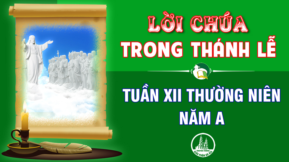 BẢN VĂN BÀI ĐỌC TRONG THÁNH LỄ TUẦN XII THƯỜNG NIÊN – NĂM A