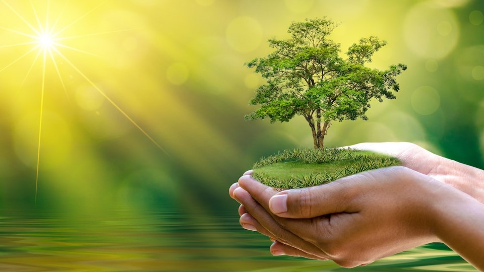 Các đề tài của Thông Điệp 