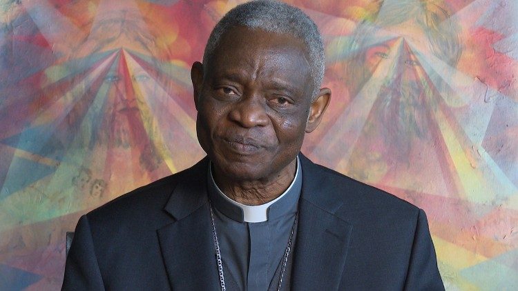 ĐHY Turkson kêu gọi Giáo hội quan tâm đến những nhu cầu mục vụ của tín hữu