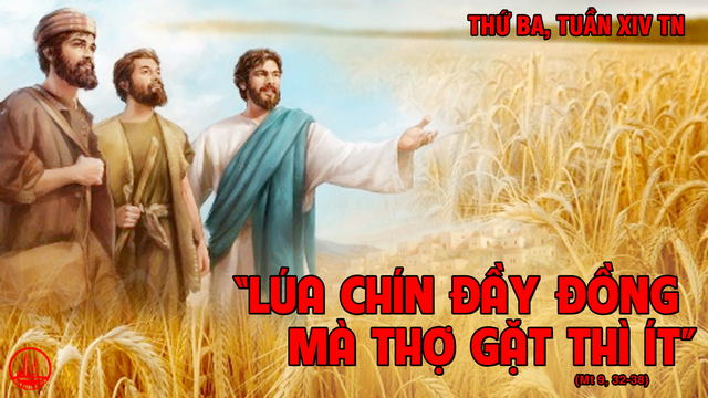 07.07.2020 – Thứ Ba Tuần XIV Thường niên