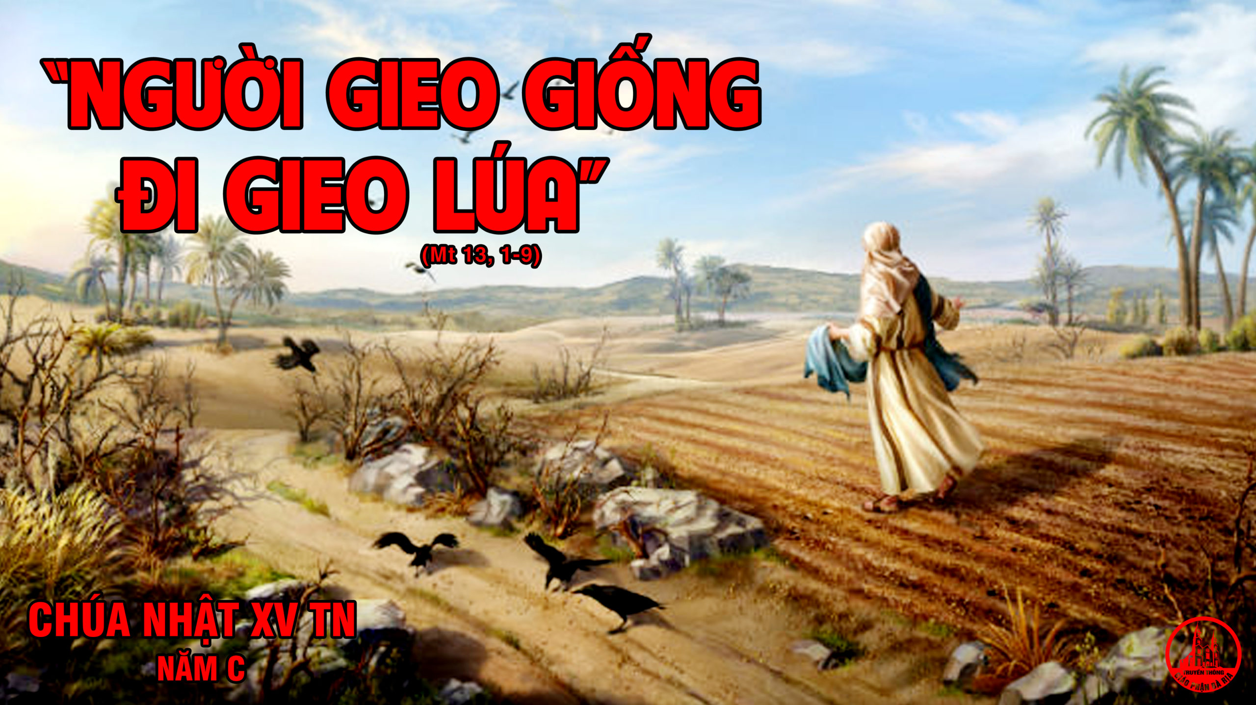 CÁC BÀI SUY NIỆM LỜI CHÚA CHÚA NHẬT XV THƯỜNG NIÊN- A