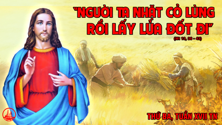 28.07.2020 – Thứ Ba Tuần XVII Thường niên 