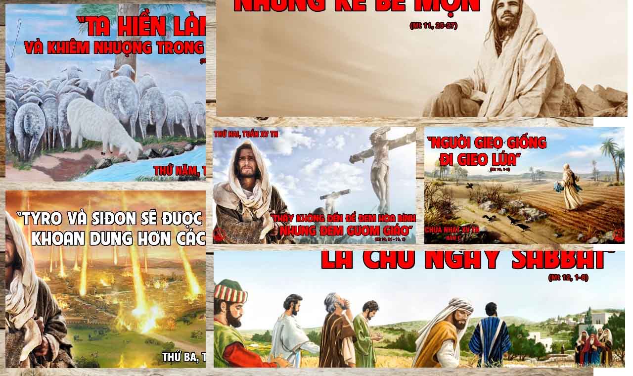 Hình minh họa Lời Chúa  TUẦN XV THƯỜNG NIÊN – NĂM A
