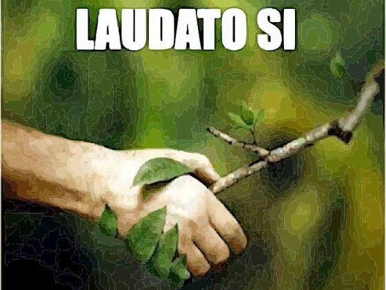 Giáo dục sinh thái trong Laudato Si'