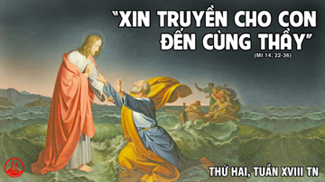 03.08.2020 – Thứ Hai Tuần XVIII Thường niên