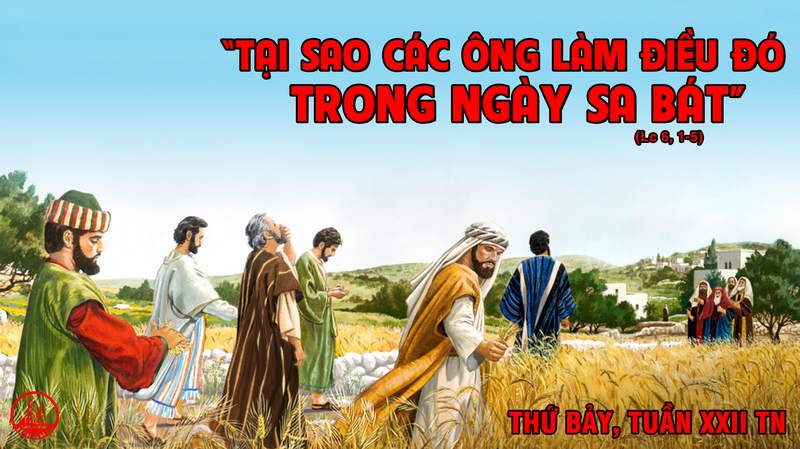 05.09.2020 – Thứ Bảy Tuần XXII Thường niên – Thánh Têrêsa Calcutta, nữ tu