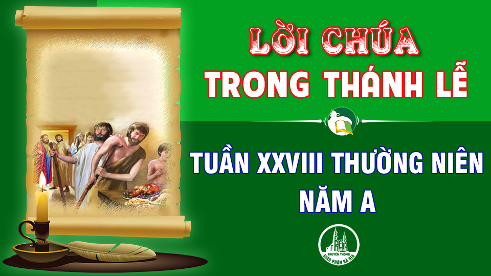 BẢN VĂN BÀI ĐỌC TRONG THÁNH LỄ  TUẦN XXVIII THƯỜNG NIÊN – NĂM A