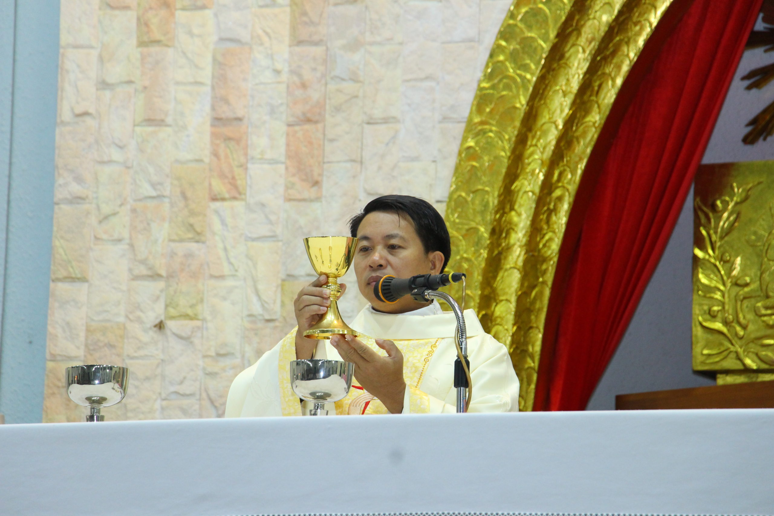 Gx. Lam Sơn: Thánh lễ tạ ơn kỷ niệm 15 năm Linh Mục của Cha Chánh xứ