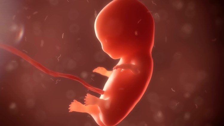 Ngày những trẻ em không chào đời ở Ba Lan